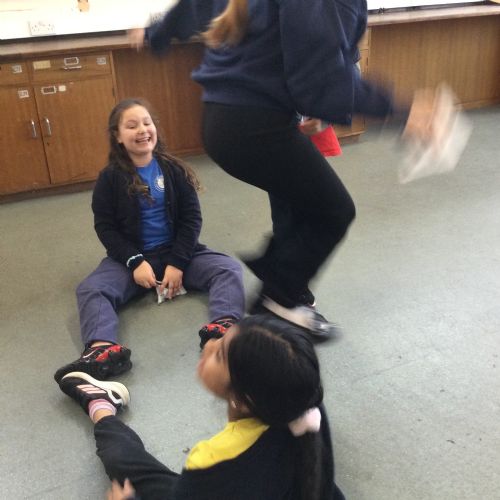 Ribston - Shaping Futures