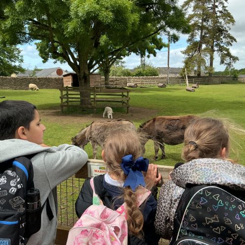 Year 3 Cotswold Wildlife Park