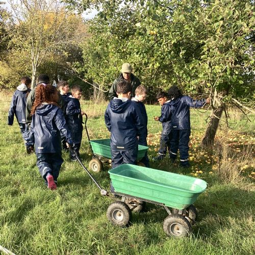 Wick Court Farm 2026